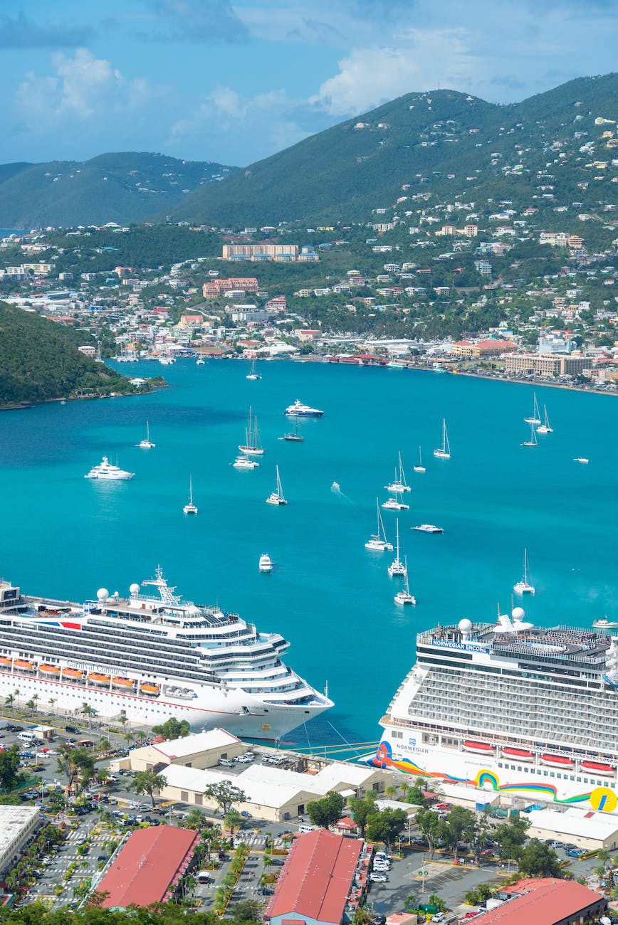 Two cruise ships docked in the bright blue water with many smaller boats sailing around them and mountains in the background.