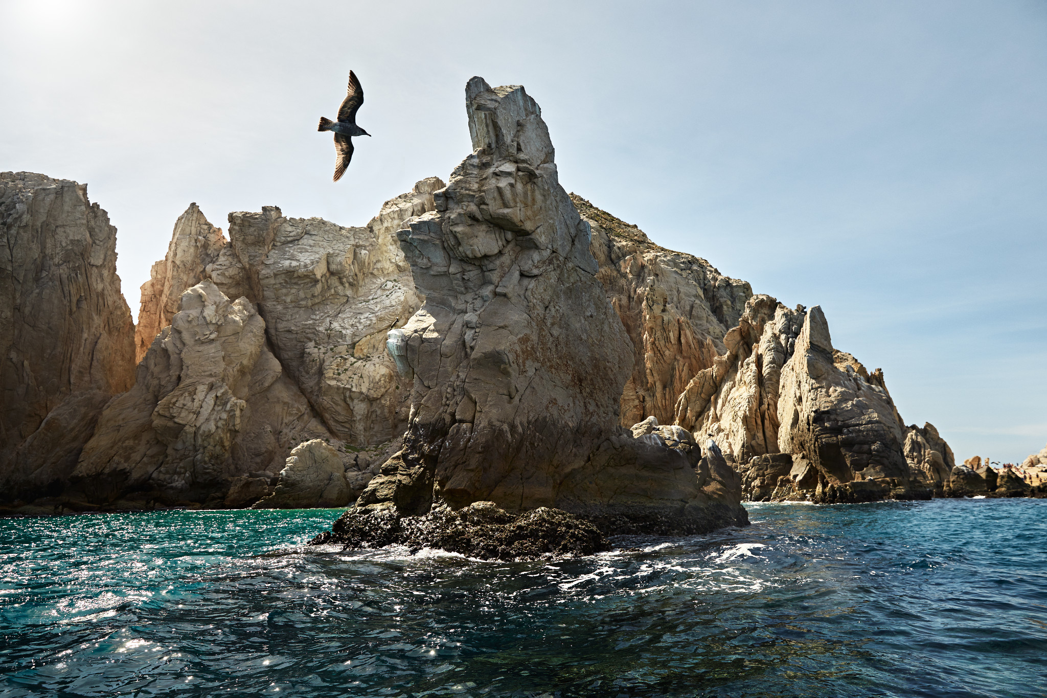 A bird flying over The Arch of Cabo San Lucas, a large rock formation jutting out from the ocean.
