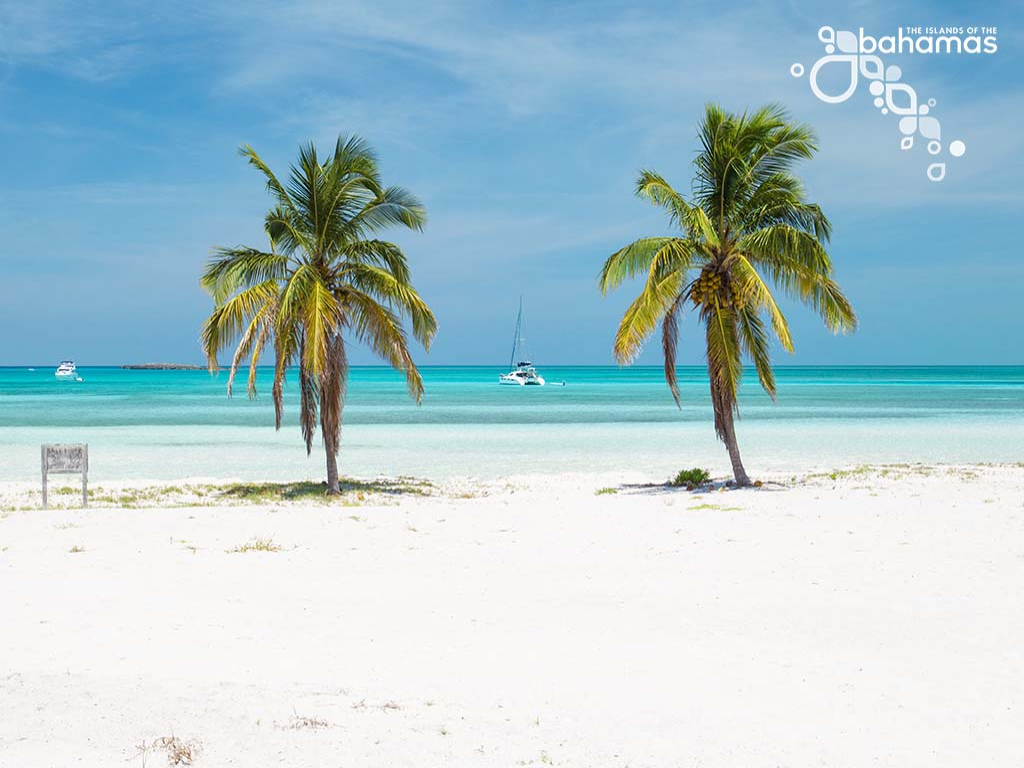 Two palm trees on a beach with white sand and turquoise blue water.